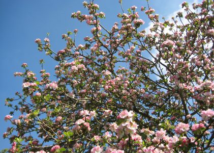 Old blog, old posts
